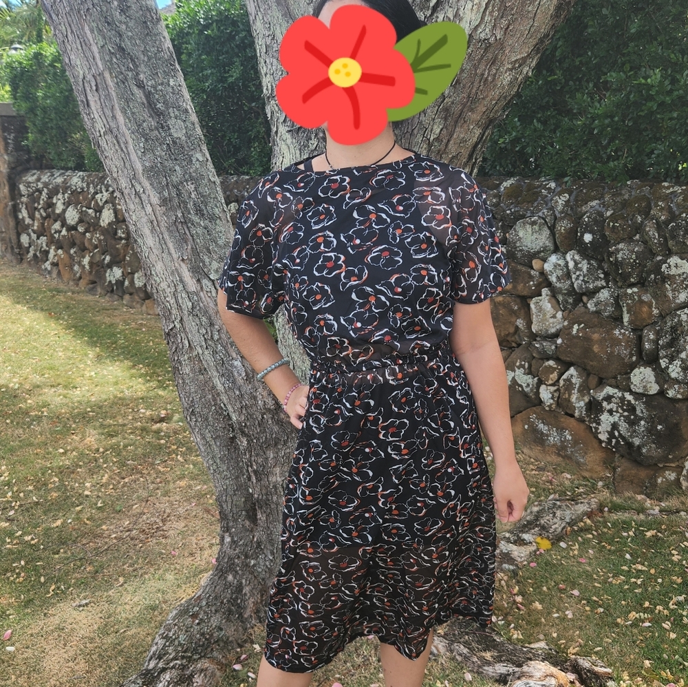 Vintage Sheer Cover-Up Dress